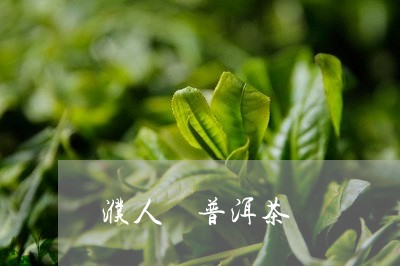 濮人 普洱茶/2023042727711